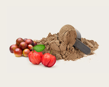 CamuCamu Acerola Mixed Powder