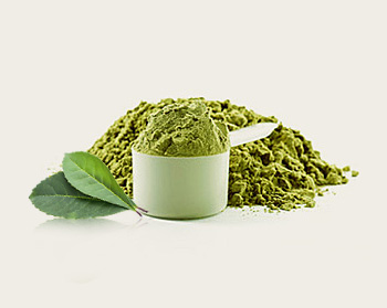 Green mate extract powder