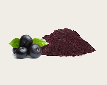 Acai extract powder