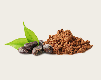 Low-fat cocoa powder